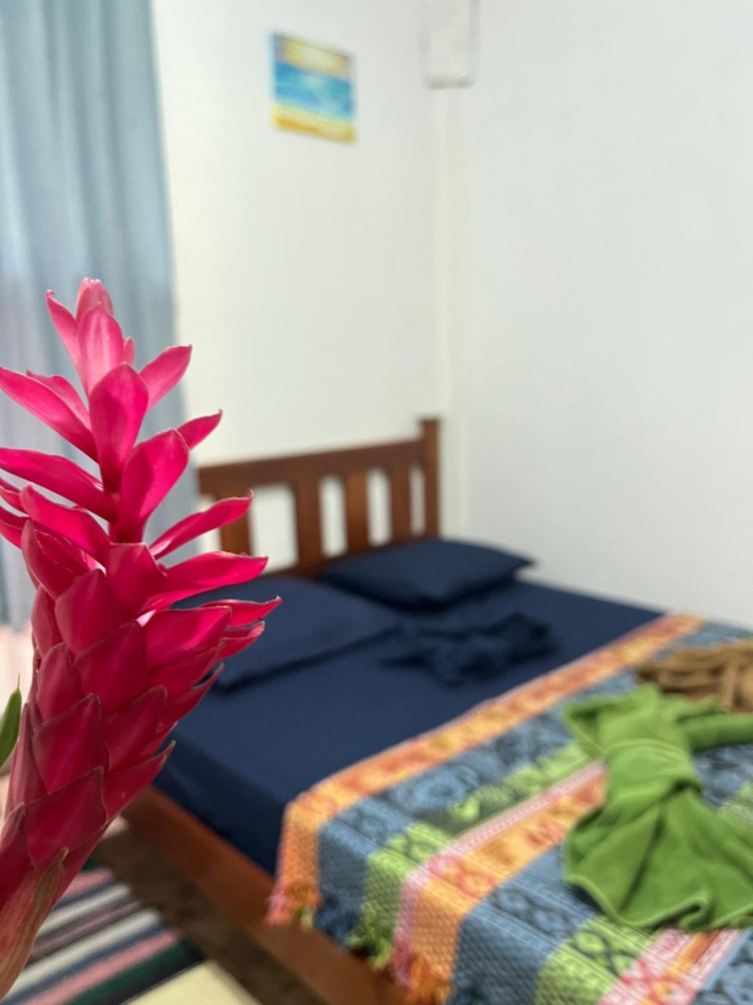 Hotel Surf Camp à Bocas del Toro Extérieur photo