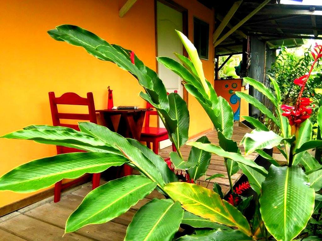 Hotel Surf Camp à Bocas del Toro Extérieur photo