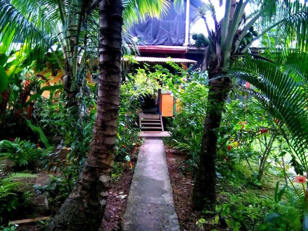 Hotel Surf Camp à Bocas del Toro Extérieur photo